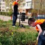 Tamás fát és virágokat ültet