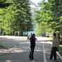 A Durmitor Nemzeti Park területén többszáz kilométer kijelölt túraútvonal található, ezek egy jó része a Fekete-tó (Crno Jezero) környékéről indul. A Crno Jezero-hoz aszfaltúton juthatunk el, a Park területére a belépő fejenként 3 euró.