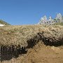 A megolvadt hólé kis patakocskákban folyt le. Háttérben a Fogacskák (Zupci) gerinc (2309 m).